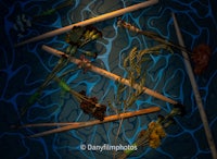 a bunch of sticks on a blue background